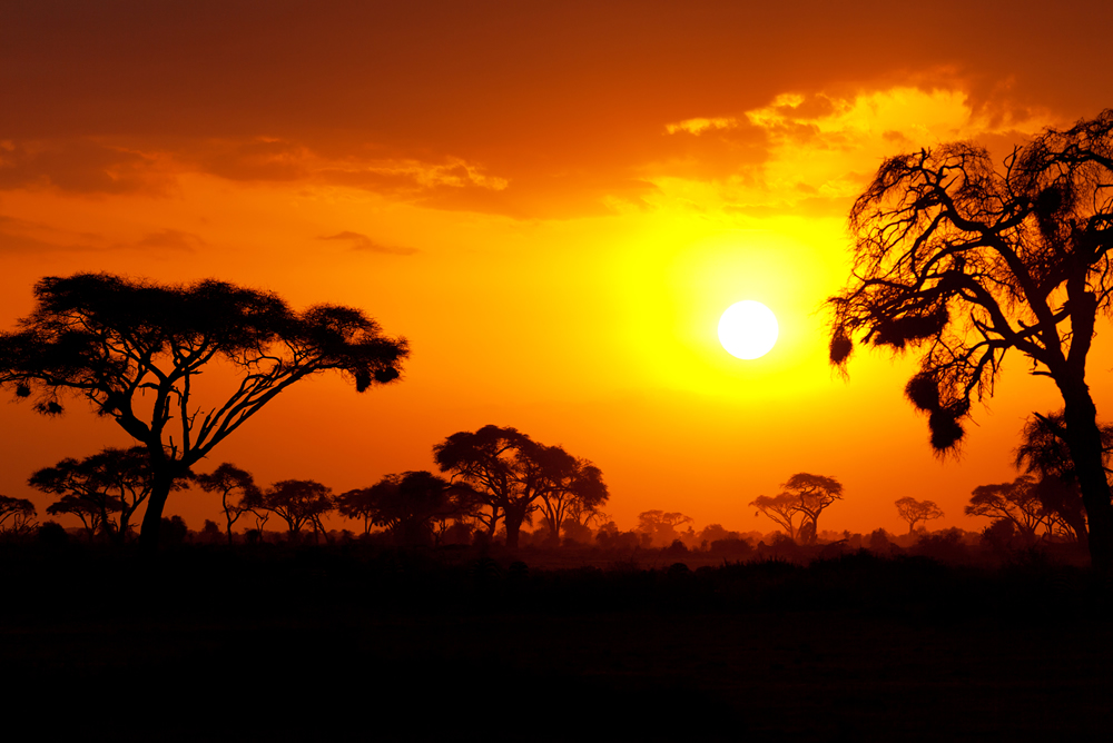 Vstup na trh Východnej Afriky: obchodné príležitosti a kľúčové rady pre podnikateľov
