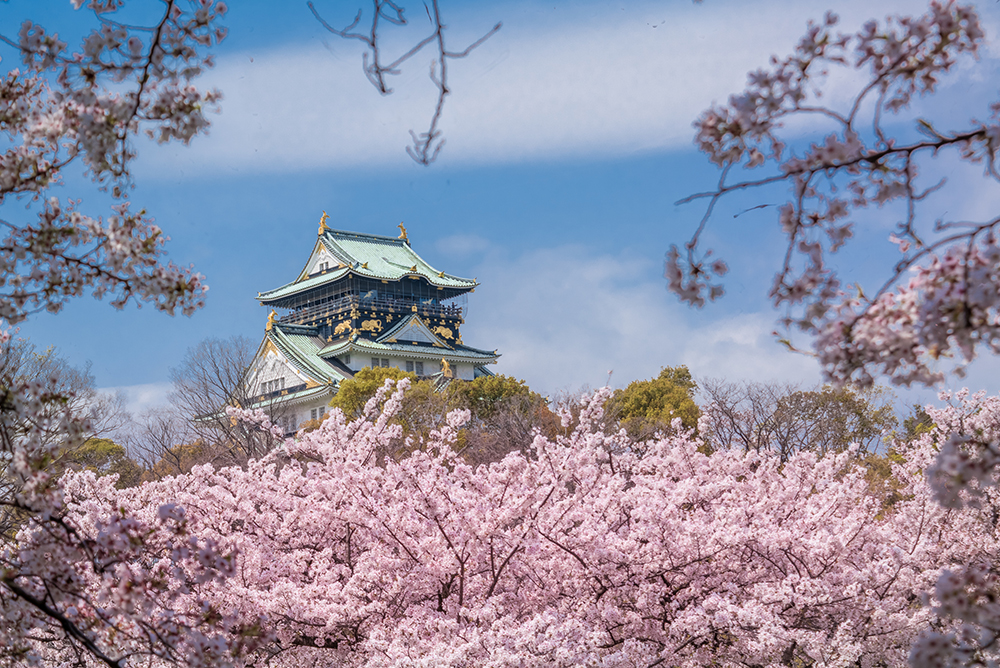 Podnikateľská misia do Japonska