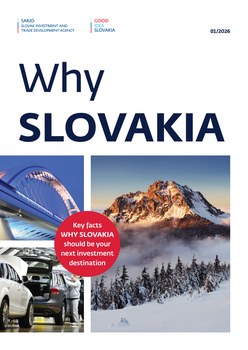 Titulná strana publikácie Why Slovakia